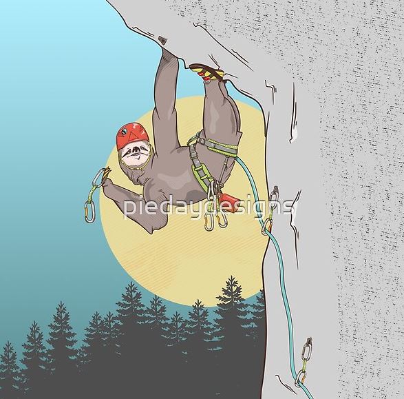 Picture, sloth, rock climbing, sloth climbing,
