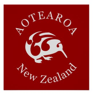 poster, new zealand, kiwi, aotearoa, native bird, grey bird, silver, bird, kiwis, koru, maori, 