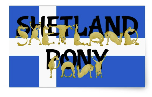 shetland, shetland pony, pony, cartoon pony, pony forming letters, flag, shetland islands, nordic cross, white cross, horse, foal, flexible pony, alphabet pony, flag of shetland, blue and white flag, stickers