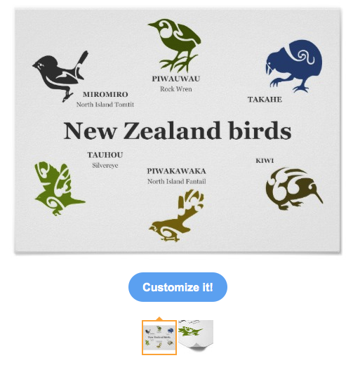 koru, maori, kiwi, bird, native, tribal, takahe, silvereye, new zealand, rock, wren, tomtit, endemic, fantail, poster