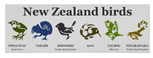 koru, maori, kiwi, bird, native, tribal, new zealand, takahe, silvereye, rock wren, tomtit, endemic, fantail, posters