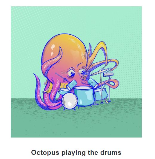 octopus, drums, drumming, drummer, 